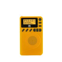 Xtreme Mini Radio DB-9 DAB+ Portatile Analogico e digitale Giallo