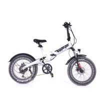 LEXGO E-BIKE RUFF 20 10.4A bicicletta elettrica 250 W